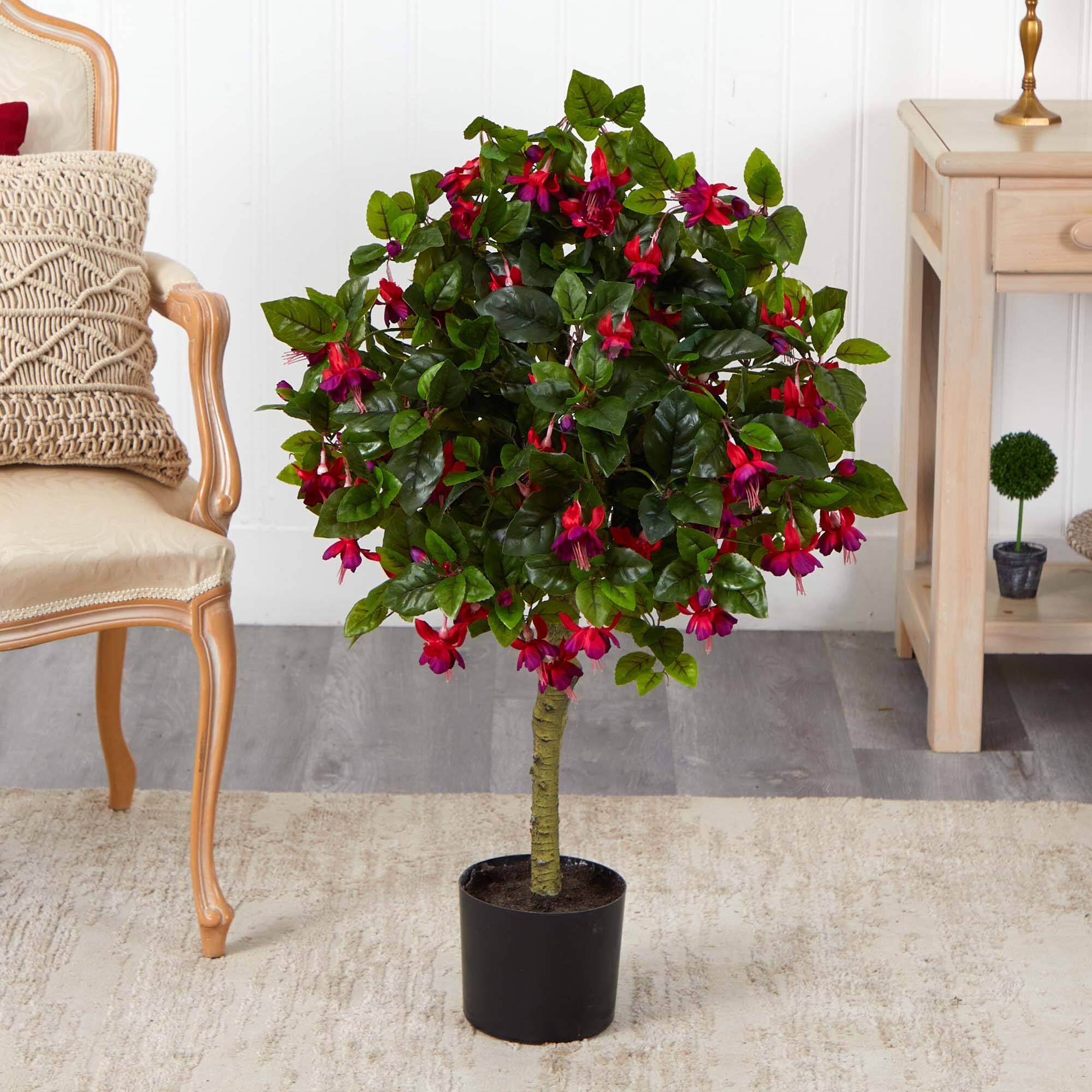 3ft. Potted Fuchsia Tree
